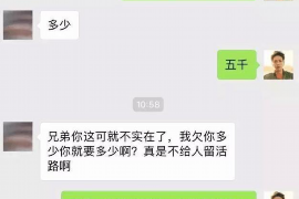 新县为什么选择专业追讨公司来处理您的债务纠纷？